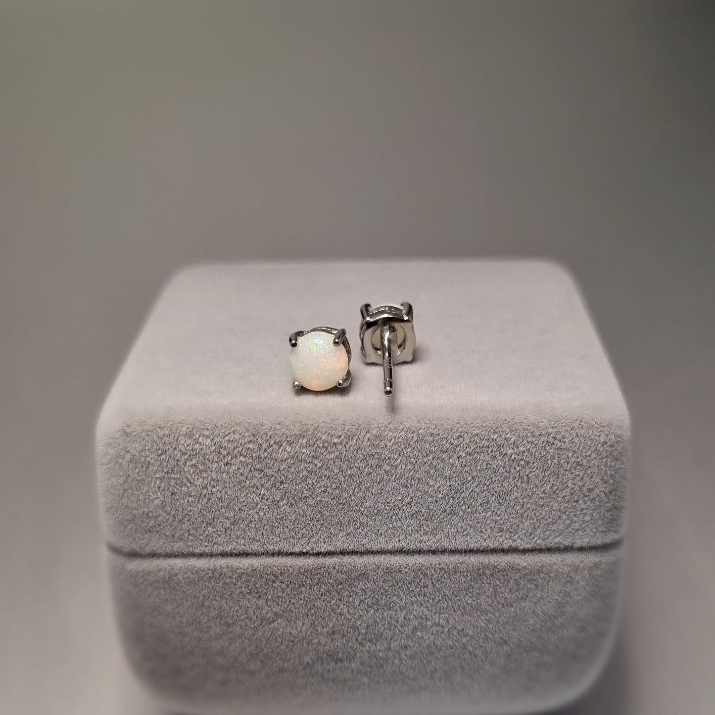 Solid Opal Earrings